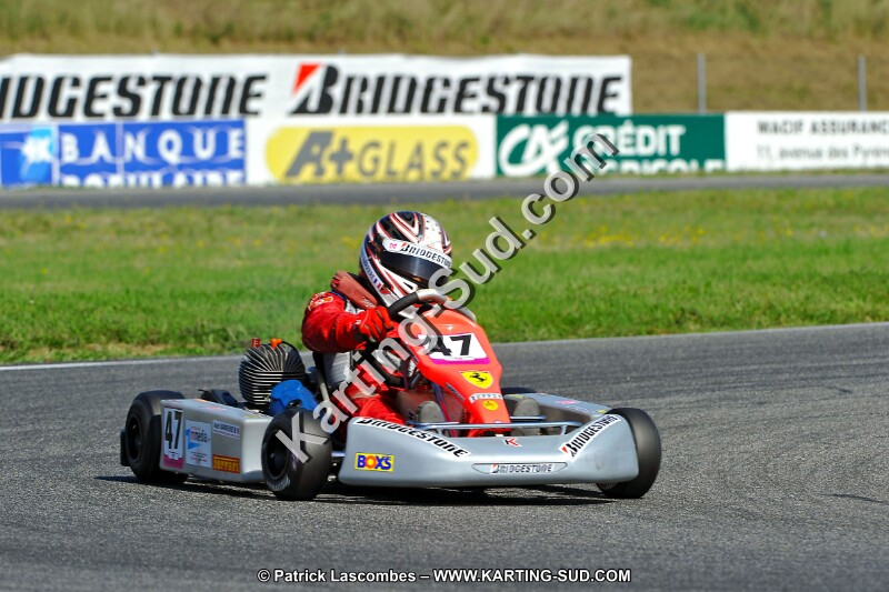 DSC_ (1199).jpg